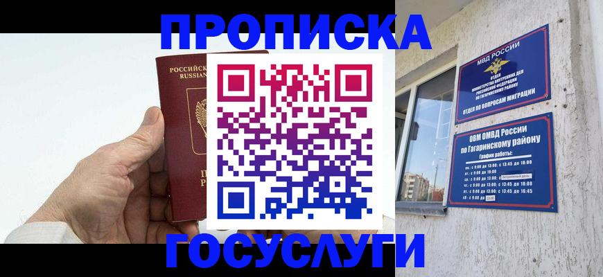 временная регистрация надежно в Жуковском